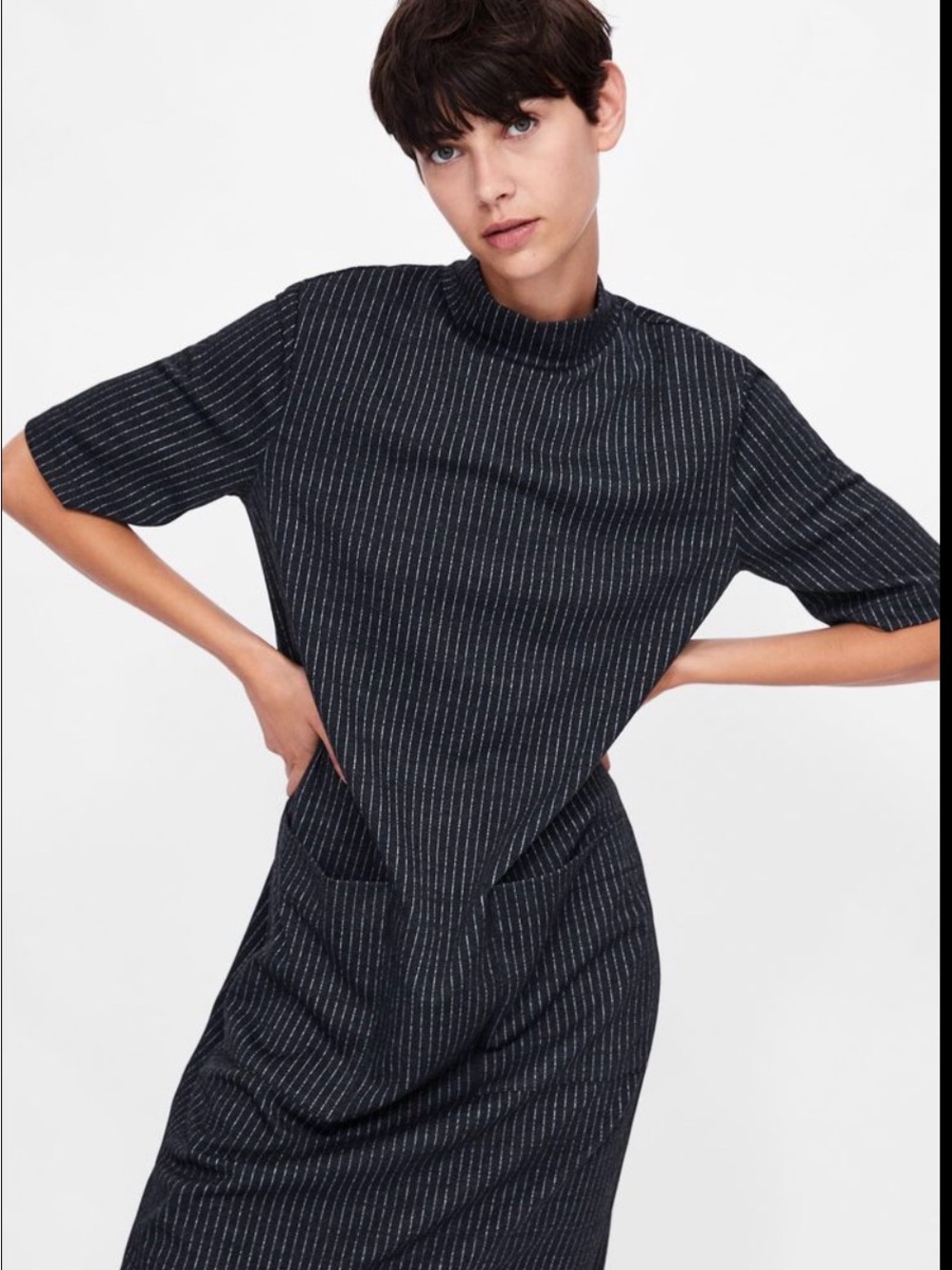 Zara Black Pinstripe Mock Neck Dress